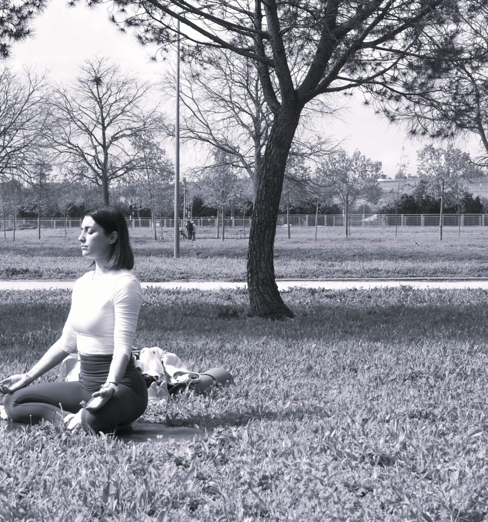 Inicio olympus digital camera