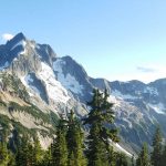 Services Bg 150x150 1